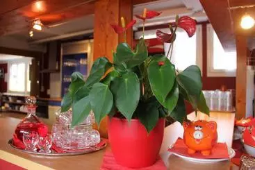 Hotel Downtown Lodge Hostel - Unique Simple Central