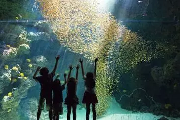 Отель Iwaki Washington