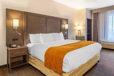 酒店 Comfort Inn & Suites Brighton Denver Ne Medical Center