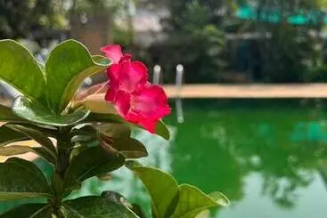 בית מלון כפרי The Royal Shilton Resort