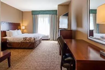 فندق Best Western Dothan Inn & Suites