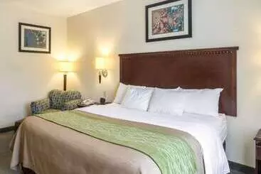 Отель Quality Inn Donaldsonville Gonzales
