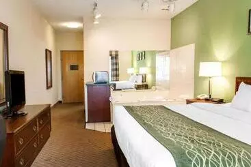 ホテル Comfort Inn