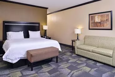 Hotel Hampton Inn & Suites Big Spring