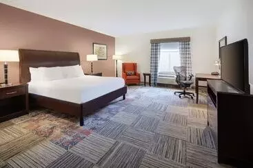 Hotel Hilton Garden Inn Tyler