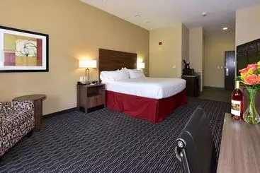 Hotelli Holiday Inn Express & Suites Fredericksburg By Ihg