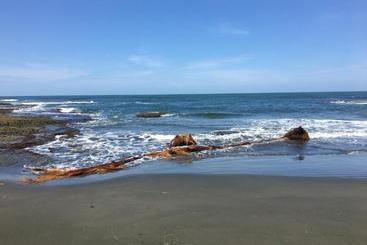 Coral Hill Bungalows