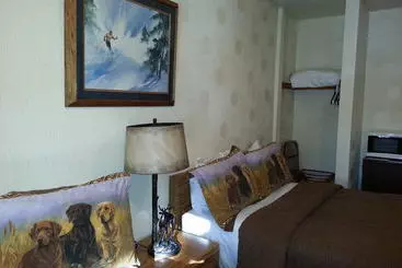 酒店 Innsbruck Lodge