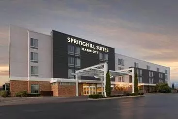 酒店 Springhill Suites By Marriott San Angelo