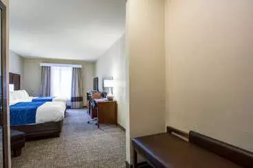 Otel Comfort Inn & Suites Airport