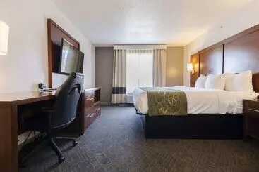 בית מלון כפרי Comfort Suites