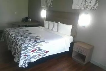 Otel Red Roof Inn Richmond   Airport Sandston