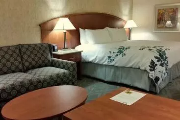 酒店 Wingate By Wyndham Elkins