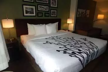 호텔 Sleep Inn & Suites Near Liberty Place I65