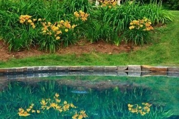 فندق Rock Hall Luxe Lodging