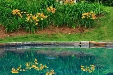 Отель Rock Hall Luxe Lodging