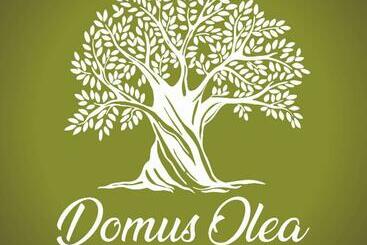 Bed and Breakfast Domus Olea