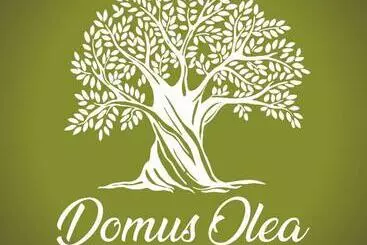 Aamiaismajoitus (B&B) Domus Olea