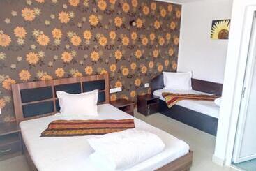 פנסיון Camere De Inchiriat Carpati