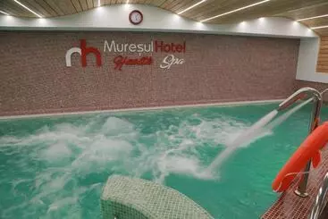 Hotel Muresul Health Spa