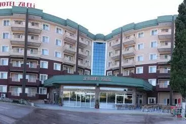 בית מלון כפרי Zileli