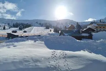 Hotel Plannerinn