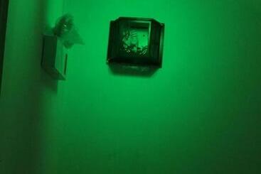 مُتل Khánh Vân   Vt Cloud Mini