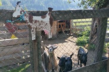 בית מלון כפרי Bauernhof Katin