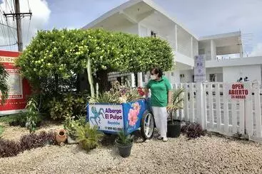 Bayahibe Hotel El Pulpo