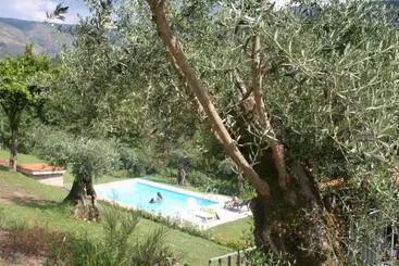 Pensão Casas De Alvite