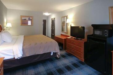 酒店 Quality Inn Dublin I81