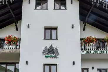 Pensiunea Paradisul Verde