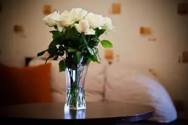 Отель Pod Lipami