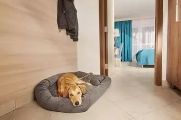 Casa Villa Without Balcony Hotel & Resort Adria Ankaran