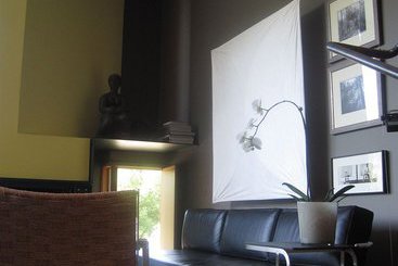 فندق Rundles Morris House