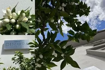 Aamiaismajoitus (B&B) Dimora1934 Relax&comfort