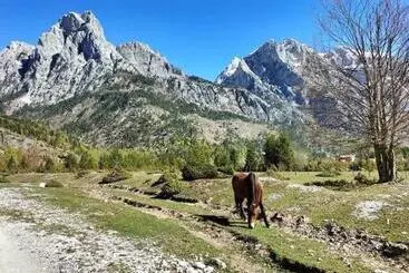 Aamiaismajoitus (B&B) Bujtina Arlindi