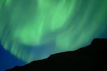 هتل Gil Guesthouse