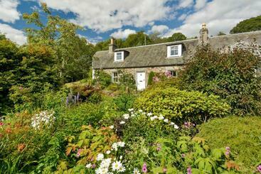 住宿加早餐  Wintergreen