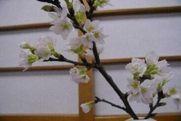 Hotel Wakaba Ryokan / Vacation Stay 29366