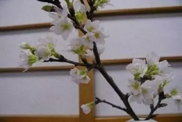 ホテル Wakaba Ryokan / Vacation Stay 29366