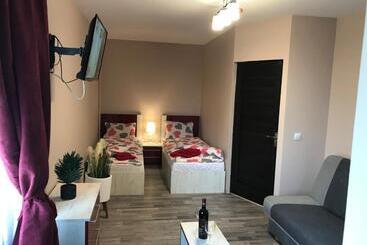 پانسیون Wellion