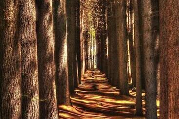 호텔 Riverglade Caravan Park