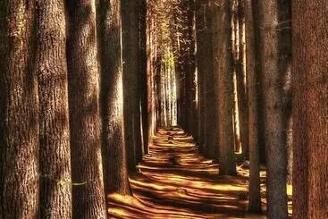 ホテル Riverglade Caravan Park