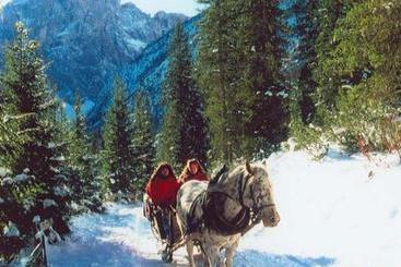 Отель Haus Webhofer Hütte