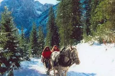 Отель Haus Webhofer Hütte