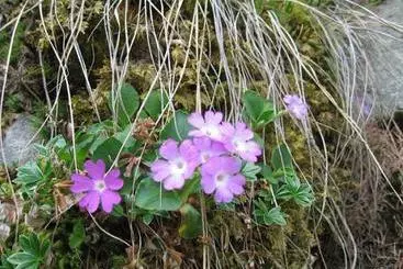 ホテル Vitalhof Der Veitenhof