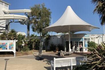 コテージ Squirrels