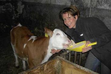 Пансион Landgasthof-schabus Gasthof