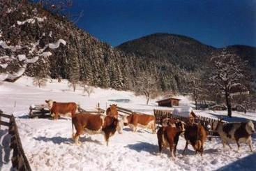 호텔 Ferienhof Neusacher Moser